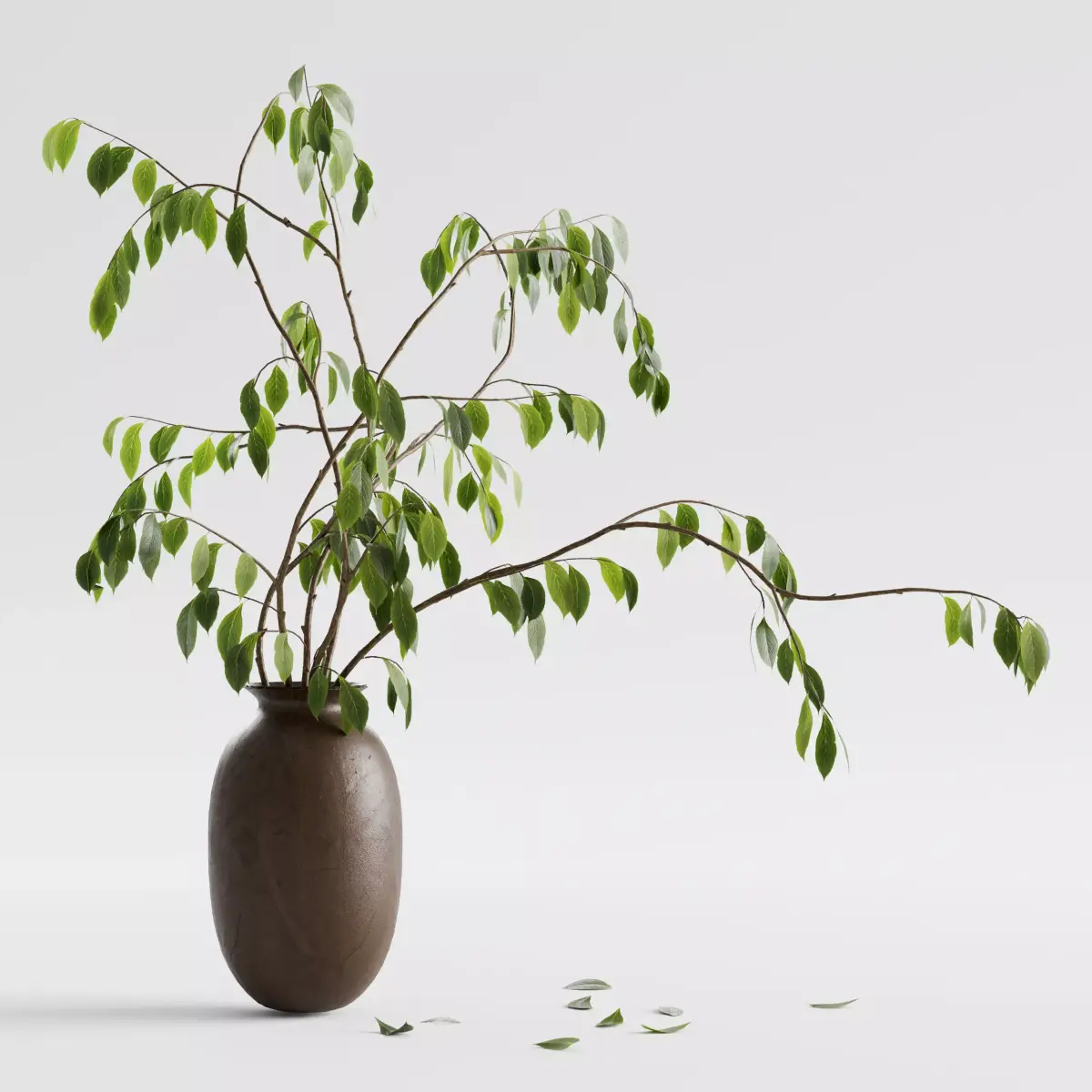 Plant in vase - Morus branch 3D model