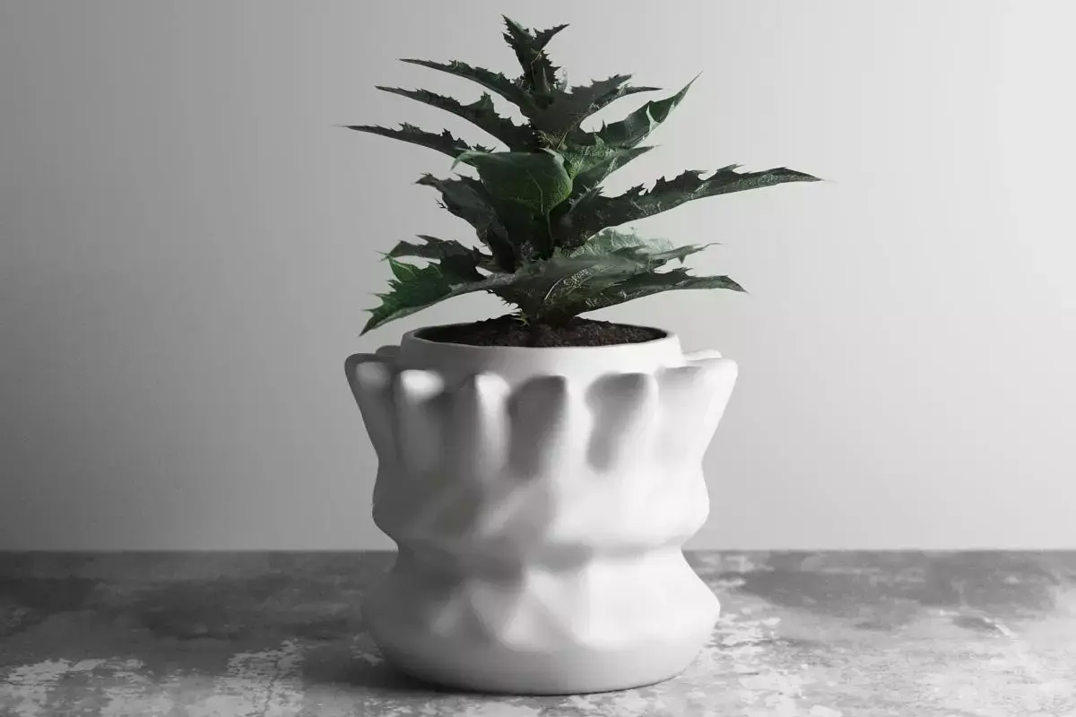 vase 3d print 681  3D print model