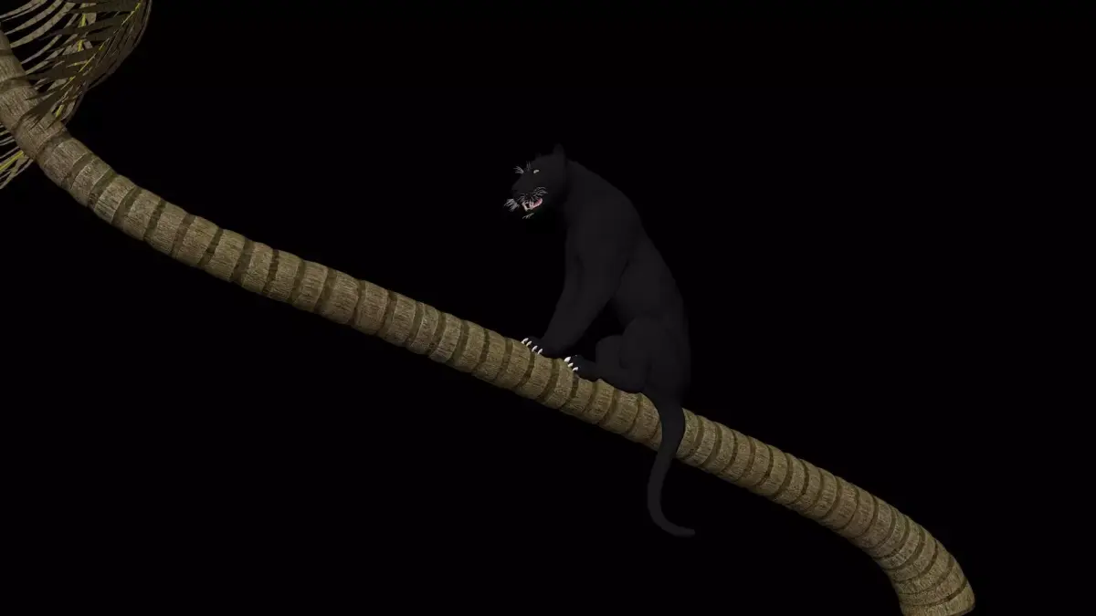 Black Panther Jumping on Plam Tree 3D model