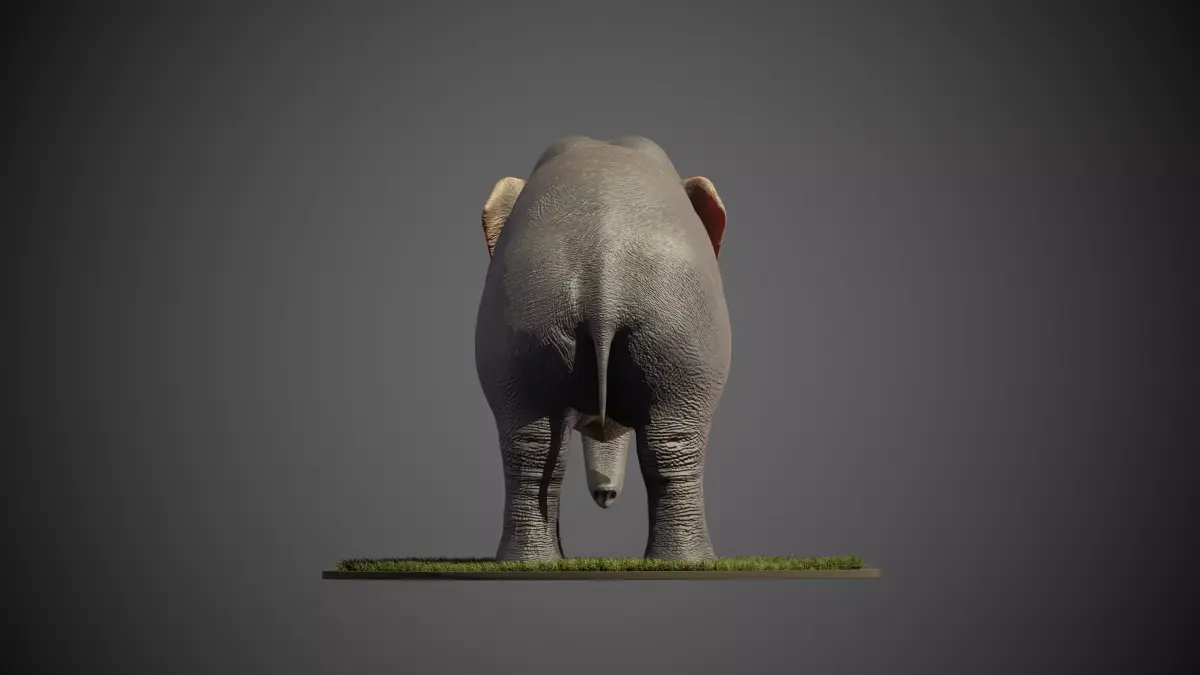 Elephant Low-poly 3D model Low-poly 3D model