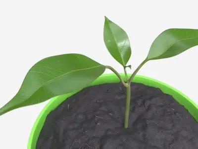 Decorative potted plant 12 3D model