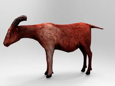 3D Red Goat low poly Model  Low-poly 3D model