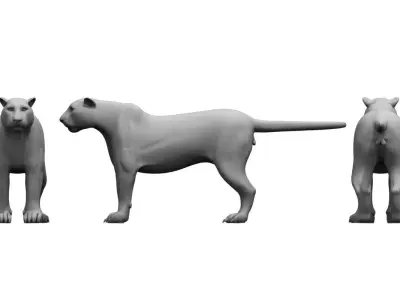 tiger3d model panther 3D model