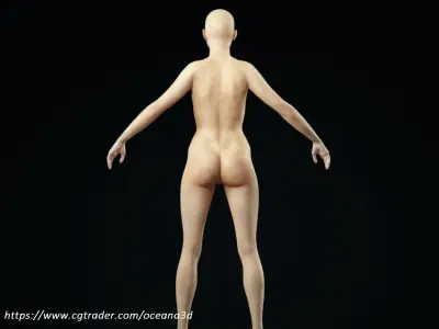 Realistic Asian Woman Base Model 3D model