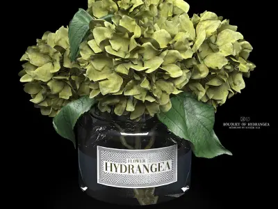bouquet of hydrangea 3D model