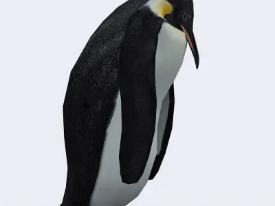 3DRT - Penguin Low-poly 3D model