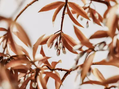 plants bouquet vase 54 3D model