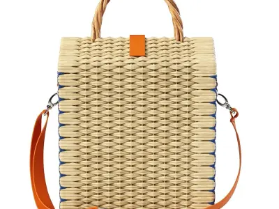 Basket Bag 3D model