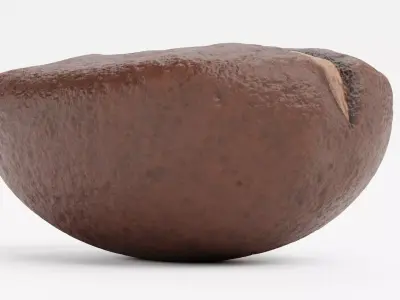 -Coffee Bean- 3D model