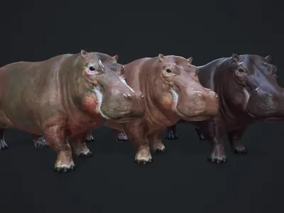 Hippopotamus - Game Ready Low-poly 3D model
