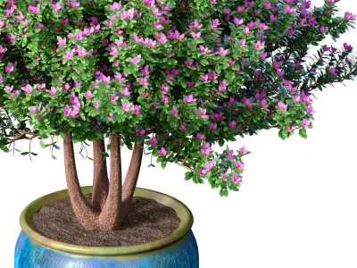 Decorative garden tree potted decoration Provence style 3D model