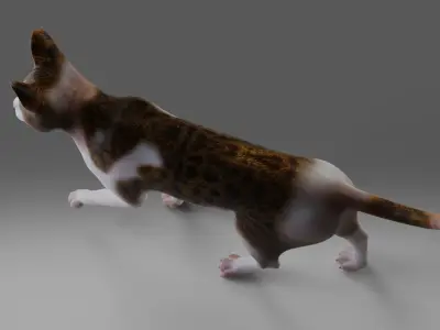 Calico Cat Rigged V3 in Blender  Low-poly 3D model