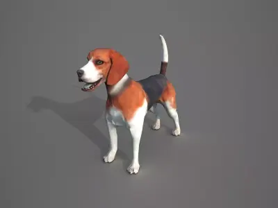 Beagle Dog Low-poly 3D model