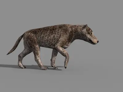 Andrewsarchus - 3d animated model 3D model