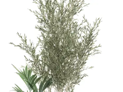 Decorative plants in flowerpots 651 3D model