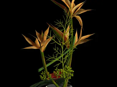 Gerbera plants in vase 3D model