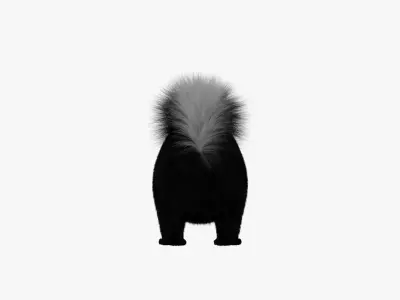 Skunk Animal 3d model 3D model