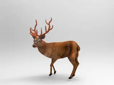 Red Deer Rigged Low-poly 3D model