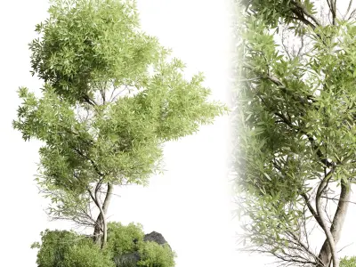 outdoor indoor 85 pot plant tree  bush fern the garden pot 3D model