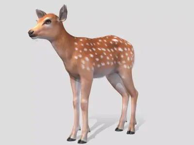 Deer - Calf Low-poly 3D model