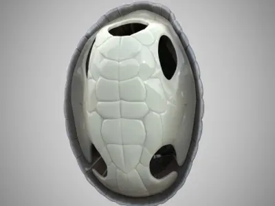 Turtle dirt gray shell Mock-up 3d Model 3D model
