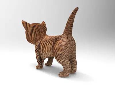 3D Cat low poly pet  Low-poly 3D model