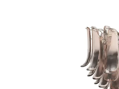 Petall Chandelier 3D model