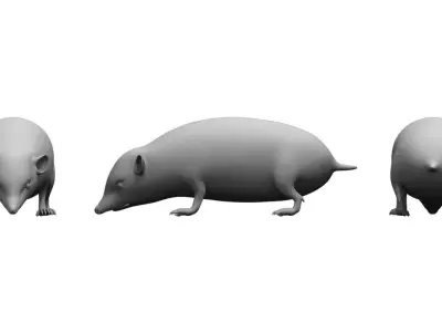 hedgehog 3d model pig 3D model