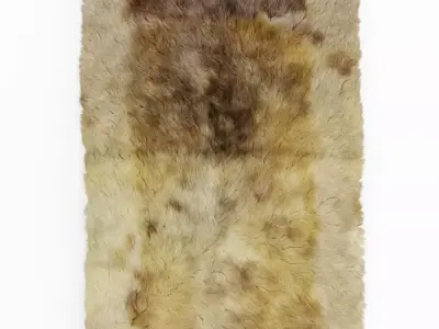 Soft Wool Rug 3D model