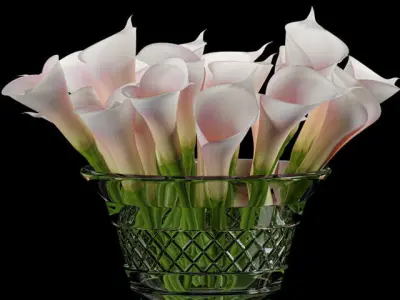 Decorative Set 40 3D model order