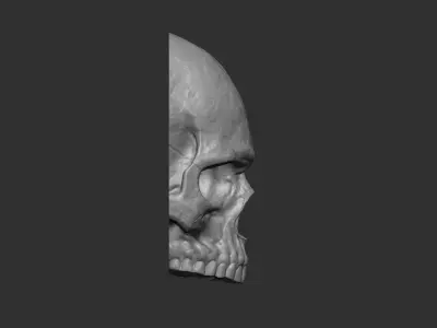 Skull Wall Sculpture 3D print model
