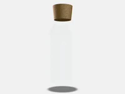IKEA 365 Carafe with stopper Low-poly 3D model