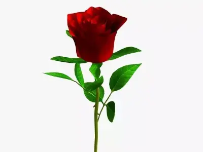 Realistic Rose 3D model