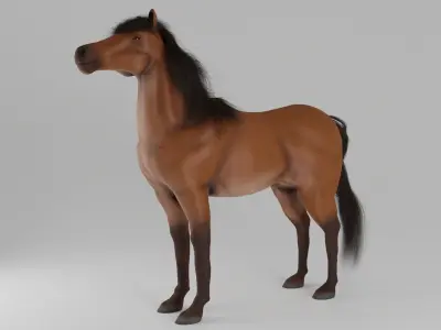 Horse 3D model