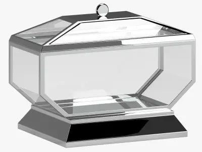 Glass Box 3D model