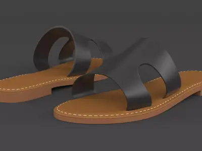 Slide Sandal 3D model