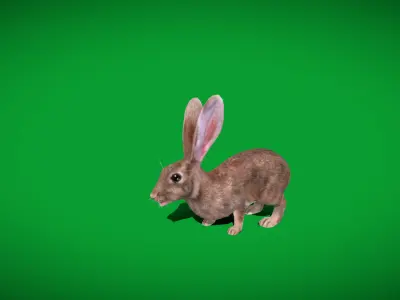 European Brown Hare Low-poly 3D model