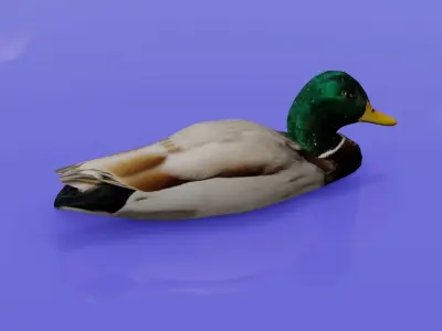Duck 3D model floating in water Low-poly 3D model