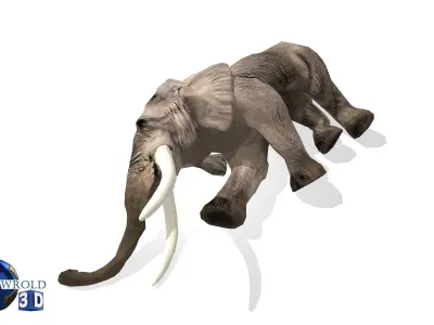 Elephant Rigged Animated Lowpoly 3d model Low-poly 3D model