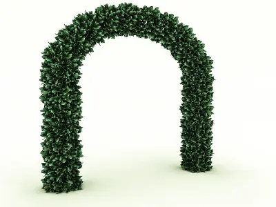 Garden Material 3D model