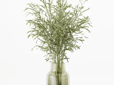 Collection Indoor Plants 016 3D model