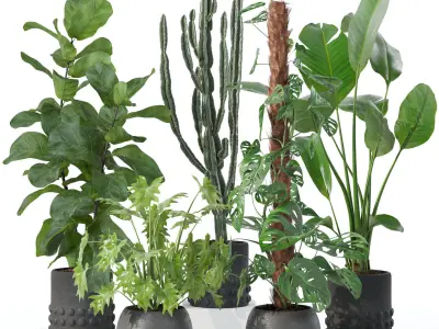 20 Photorealistic Flowers for Interiors - set 118 127 132 133 3D Model Collection