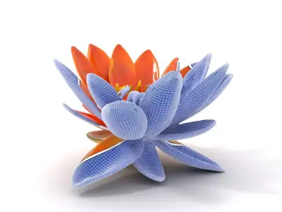 Vibrant Lotus Blossom model pack Low-poly 3D model