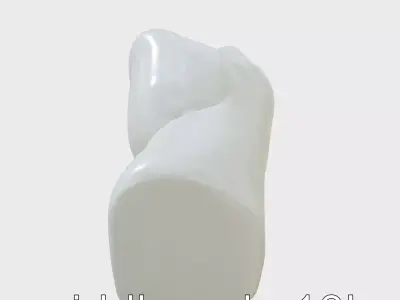 Strength Detailed Fist model pack for empowerment projects Low-poly 3D model