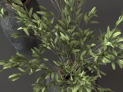Olive branches in vase 3D model 3D model