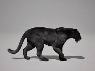 Black Jaguar Animated UNREAL project  Maya base rig 3D model