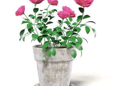 Pink Roses 3D Model in Ceramic Pot 3D model