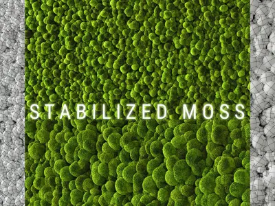 Stabilized Moss 2 3D model