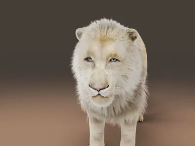 3D Fur White NO Lion Rigged Low-poly 3D model