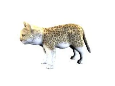 Animal Pack 3D model